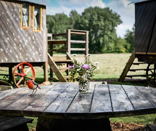 Camp at Jenners Barn, book into Great Farm Glamping or stay at local hotels and B&Bs